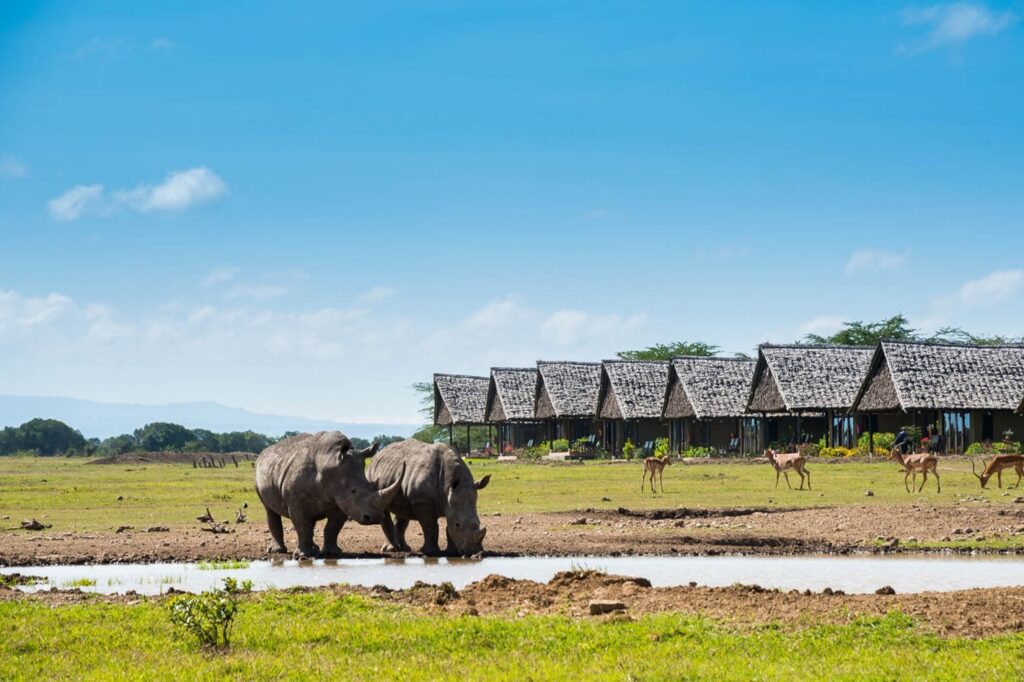 Olpejeta Conservancy Day Safari