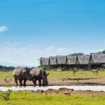 Olpejeta Conservancy Day Safari