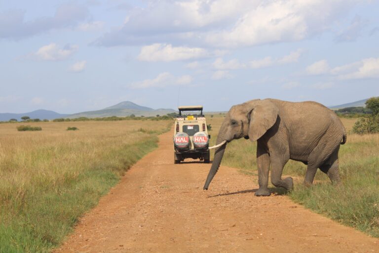Amboseli Day Safari