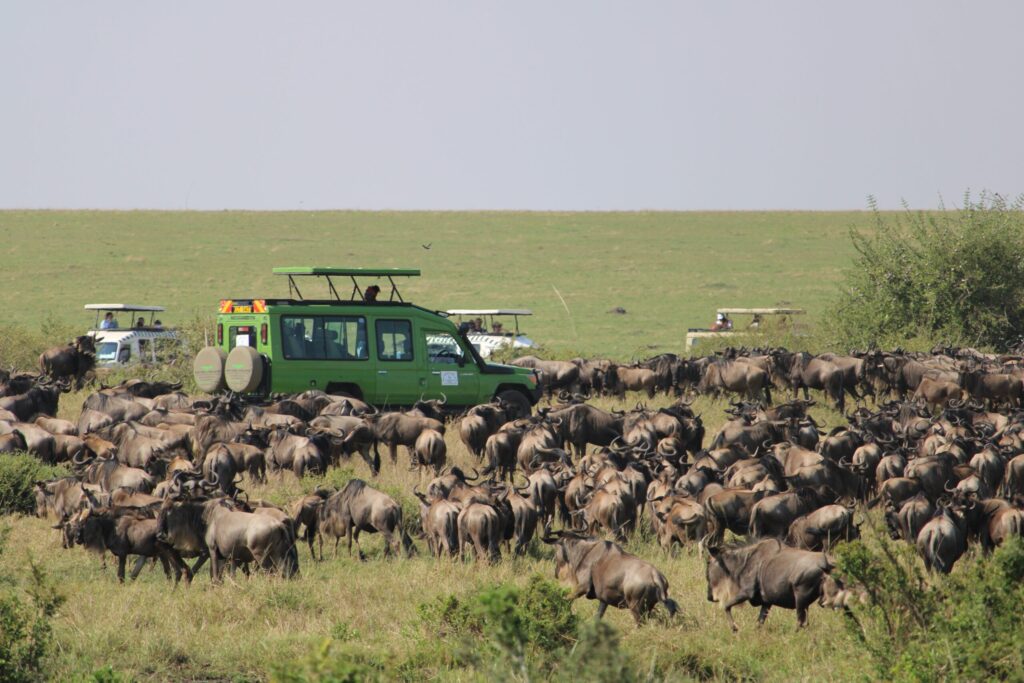 4 Days 3 Nights Great Rift Valley Safari