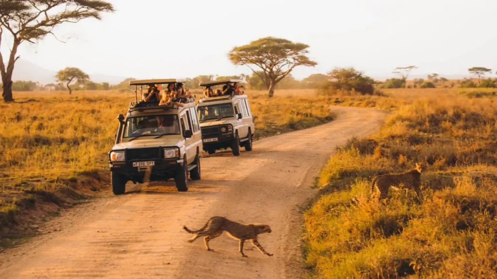 3 Days 2 Nights Maasai Mara Safari