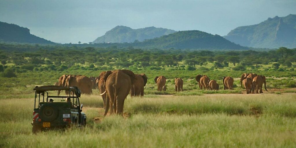 4 Days 3 Nights Samburu National Reserve
