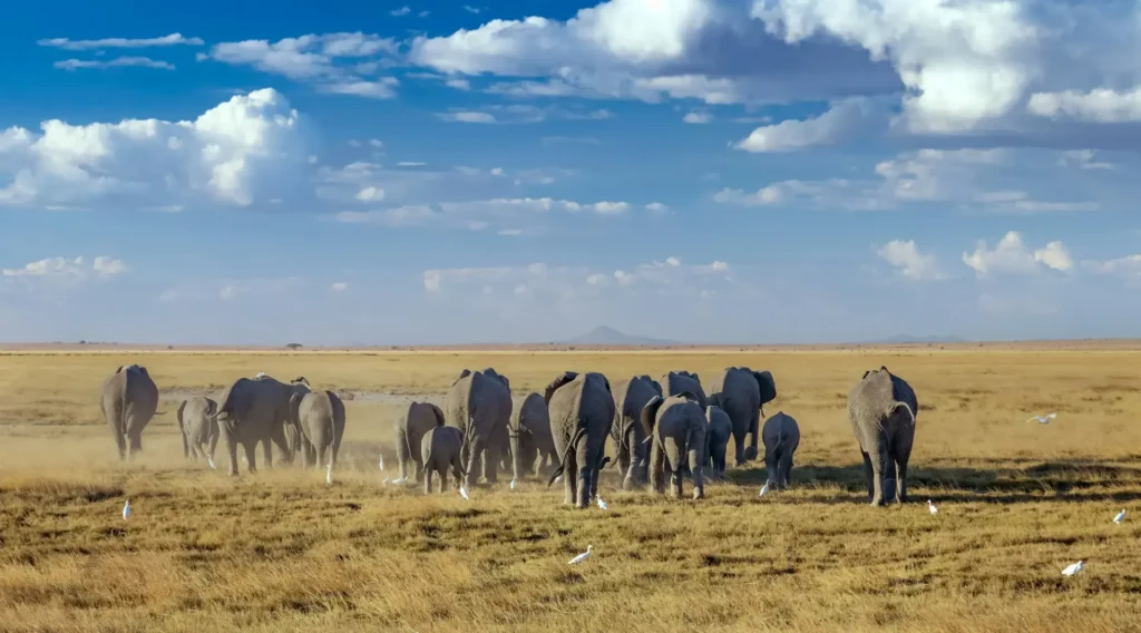 8 Days Rift Valley & South Rift Circuit