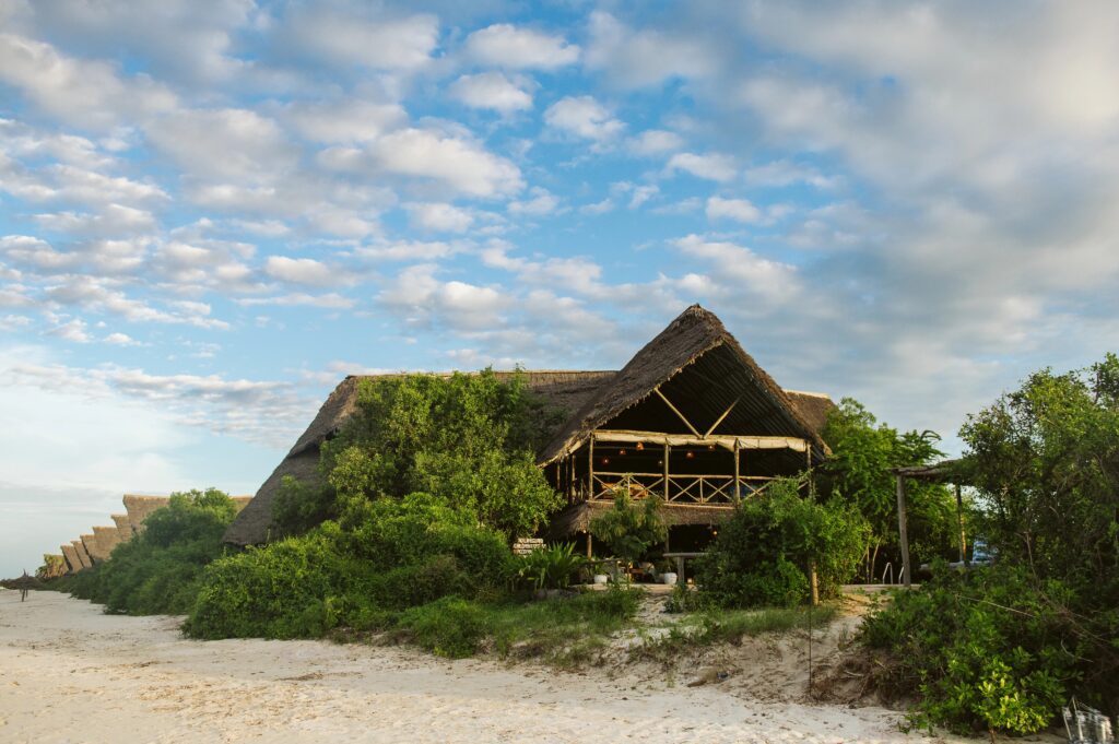 10 Days Bush and Beach Safari