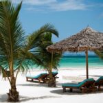 10 Days Bush and Beach Safari