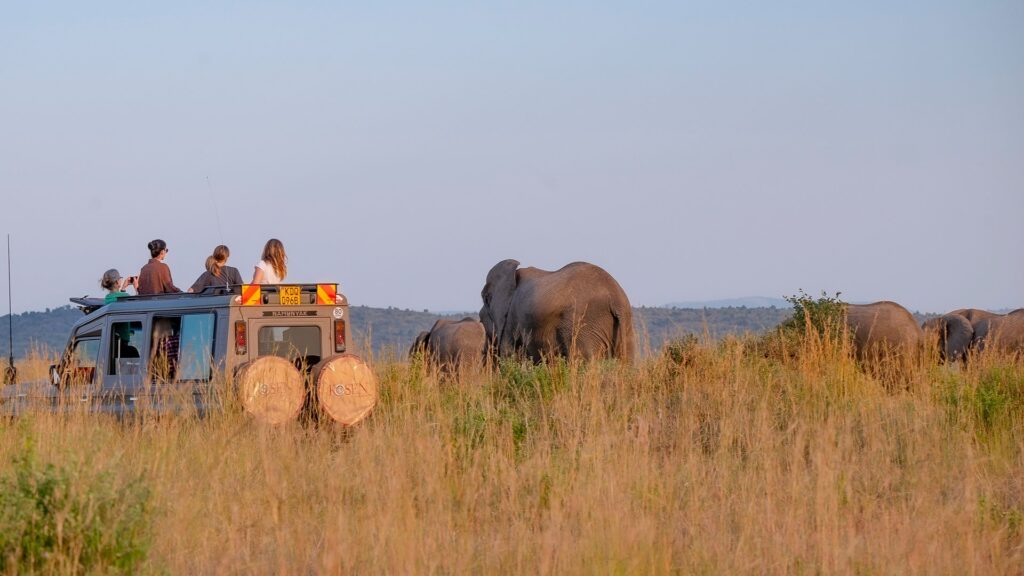 10 Days Bush and Beach Safari