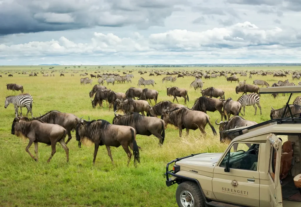 10 Days Bush and Beach Safari