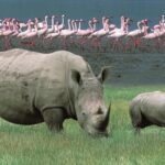 3-Day Rift Valley & Great Lakes Safari